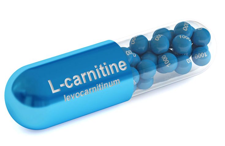 L carnitine